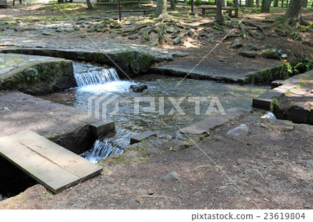 One third spring One third spring 23619804