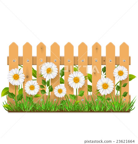 Vector Wooden Fence with Camomiles 23621664