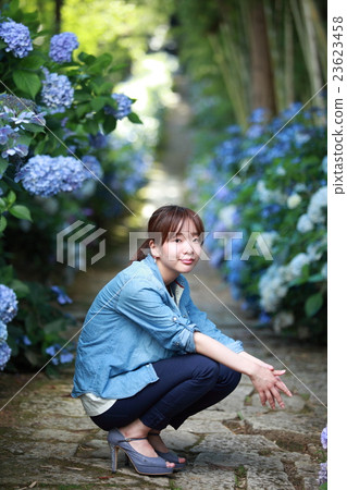 一名年輕的日本女子蹲在盛開的石頭路面的繡球花的接近處 23623458