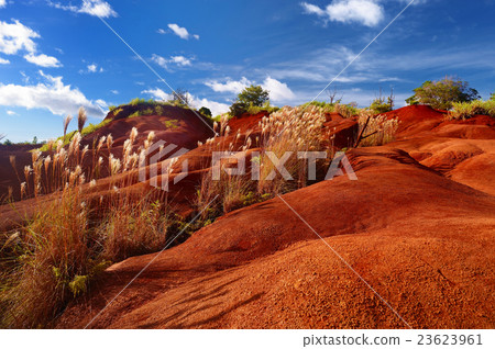 Famous red dirt of Waimea Canyon in Kauai 23623961