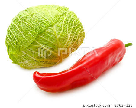 Cabbage and Pepper Cabbage and Pepper 23624123