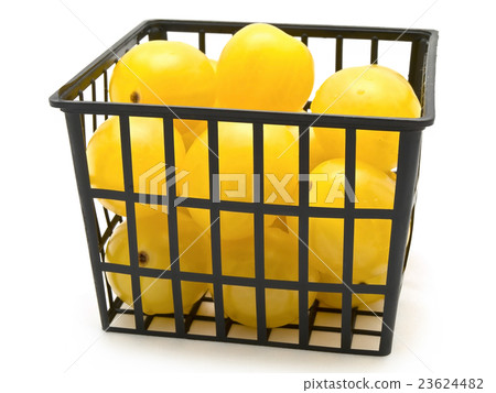 Berry Tomatoes 23624482