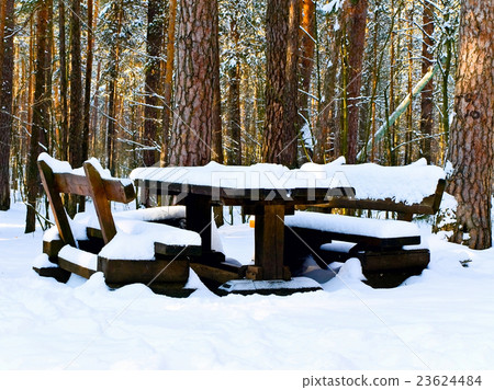 Table in Forest Table in Forest 23624484