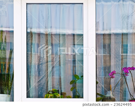 Window Window 23624495