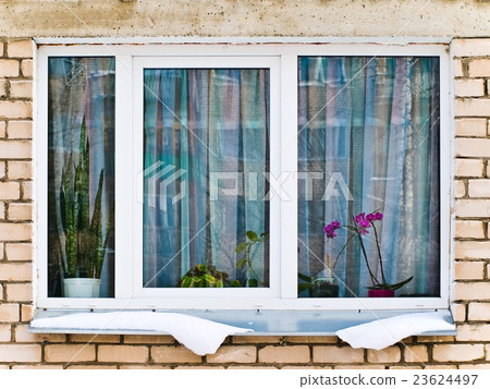 Window Window 23624497
