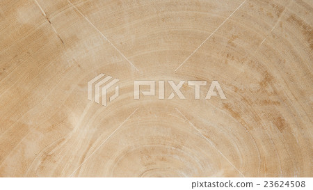 grunge wood texture background grunge wood texture background 23624508