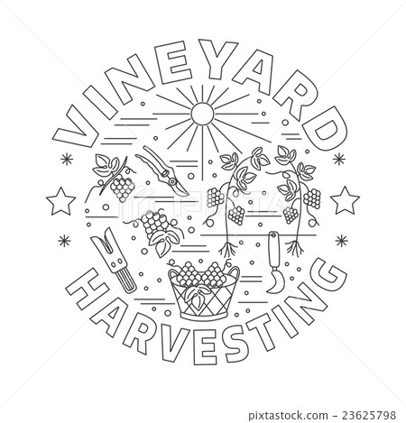 Winemaking, wine tasting graphic design concept Winemaking, wine tasting graphic design concept 23625798