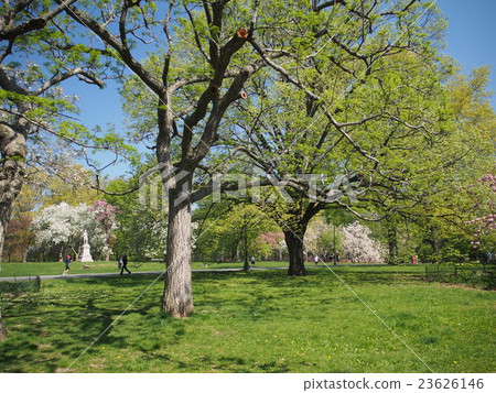 Landscape of Central Park Landscape of Central Park 23626146