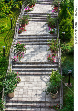 stone steps with flowers stone steps with flowers 23626229