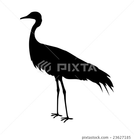 Demoiselle Crane Flat Design Vector Illustration 23627185
