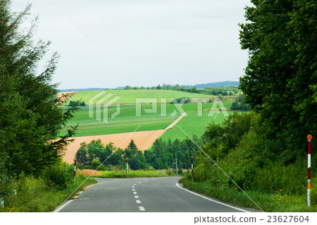 Scenery Kamifurano 23627604