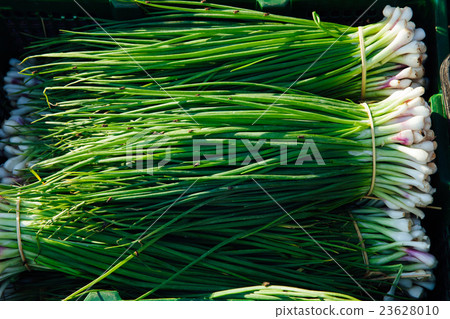 Green onions at the market Green onions at the market 23628010