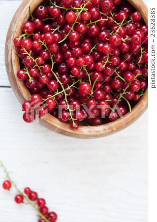 Fresh red currants 23628385