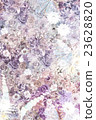 flower, flowers, bouquet 23628820