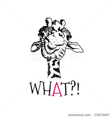 head of a giraffe hipster 23629987