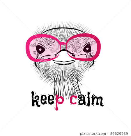 head of a hipster ostrich 23629989