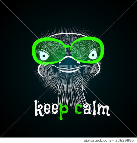 head of a hipster ostrich 23629990