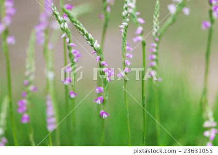 Up of thread burner 23631055