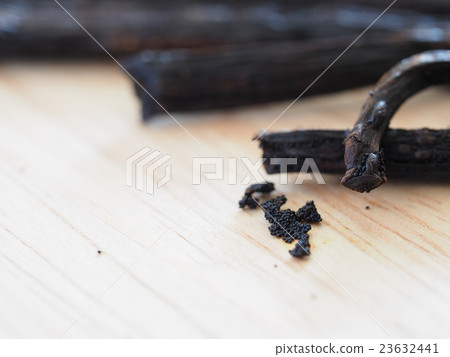 Vanilla Beans 23632441