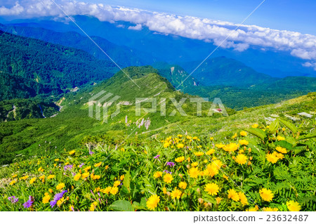 從觀光路到Terado池塘小屋 23632487