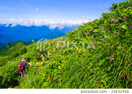 走下觀光路 23632488