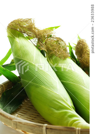 Corn 12 23633988
