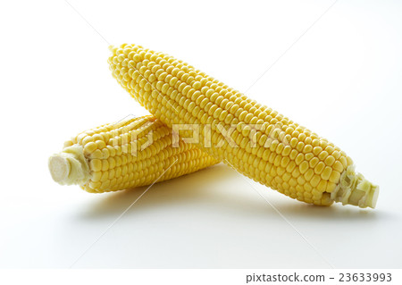 Corn 17 23633993