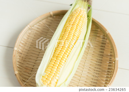 Corn Corn 23634265