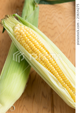 Corn Corn 23634275