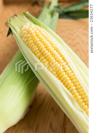 玉米 23634277