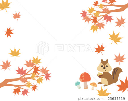 Maple illustrations Maple illustrations 23635319