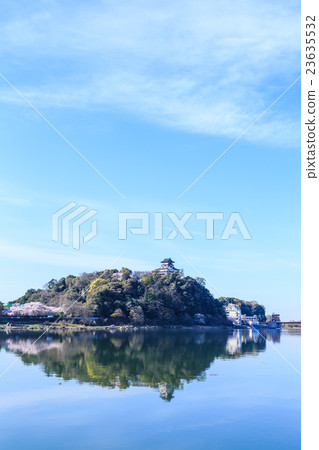 在清晨國寶犬山城和櫻花 在清晨國寶犬山城和櫻花 23635532