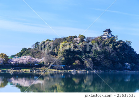 在清晨國寶犬山城和櫻花 在清晨國寶犬山城和櫻花 23635533