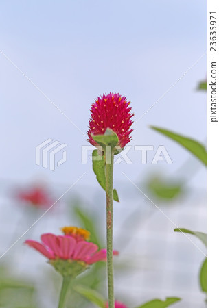 Senninbetsu和Besshi Senninbetsu和Besshi 23635971