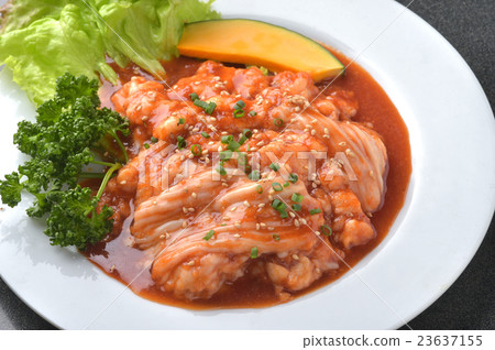 Hormone Hormone 23637155