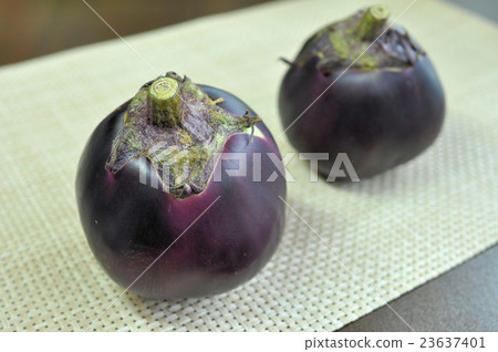 Traditional vegetables in Kyoto 23637401