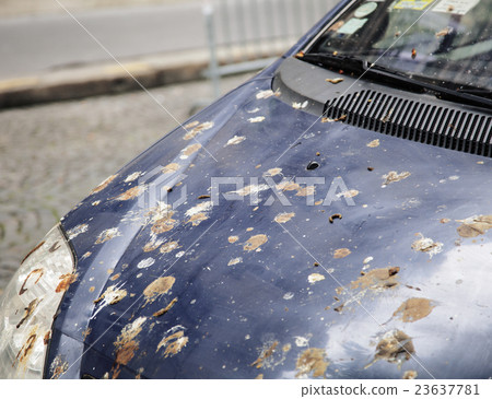 hood of car with lot of bird droppings, bad hood of car with lot of bird droppings, bad 23637781