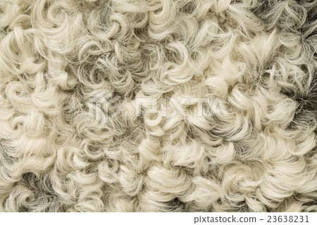 astrakhan fur 23638231