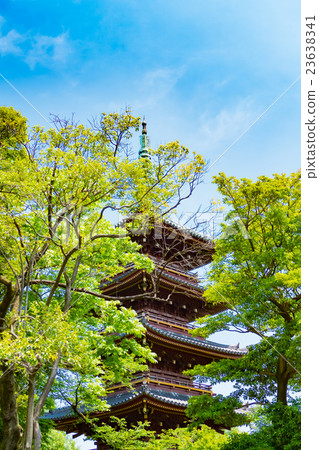 Old Kanonaga-ji 5-storied pagoda Old Kanonaga-ji 5-storied pagoda 23638341