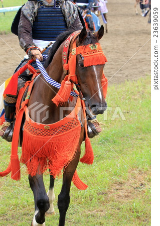 索馬追馬 23639059