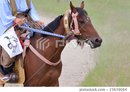 Soma horse chasing horse Soma horse chasing horse 23639084