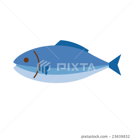 魚/鮮魚的圖像 23639832