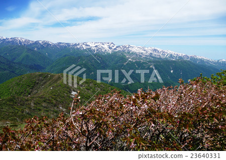 View Naeba mountain from Mountain Mountain May 22, 2015 23640331