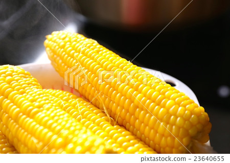 煮玉米 煮玉米 23640655