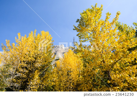 加拿大落基山脈秋天冰原大路 加拿大落基山脈秋天冰原大路 23641230