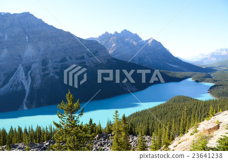 加拿大落基山脈Autuit Peyto湖 加拿大落基山脈Autuit Peyto湖 23641238