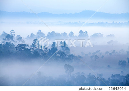 Fog in forest at Thung Salang Luang National Park 23642034