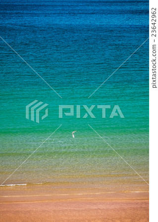 Colorful sea Colorful sea 23642962