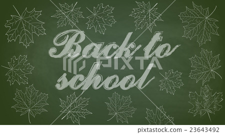 Back to School Chalkboard Background 23643492