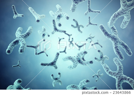 XY-chromosomes on grey background, scientific and XY-chromosomes on grey background, scientific and 23643866